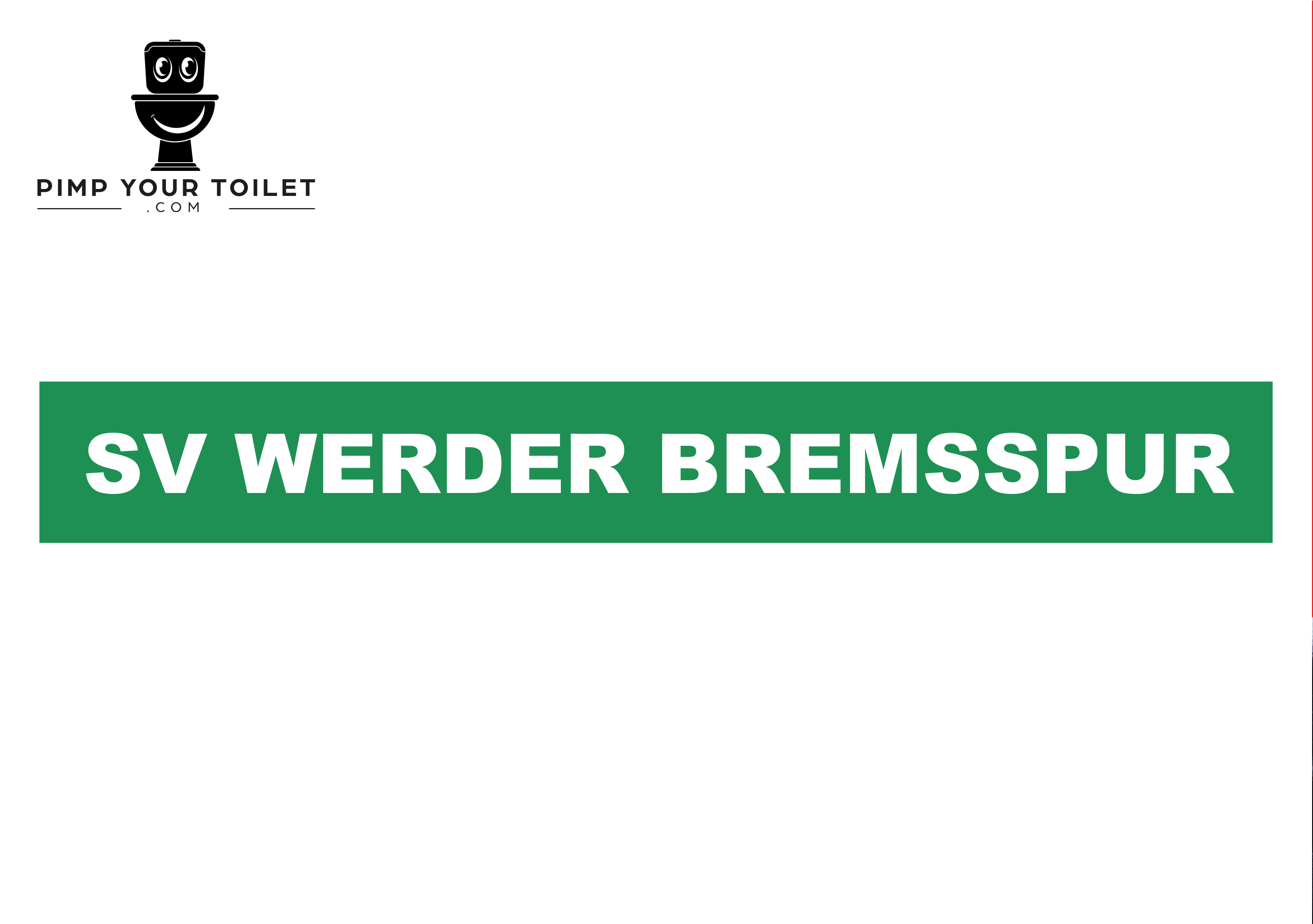 SV Bremsspur Keramikschoner